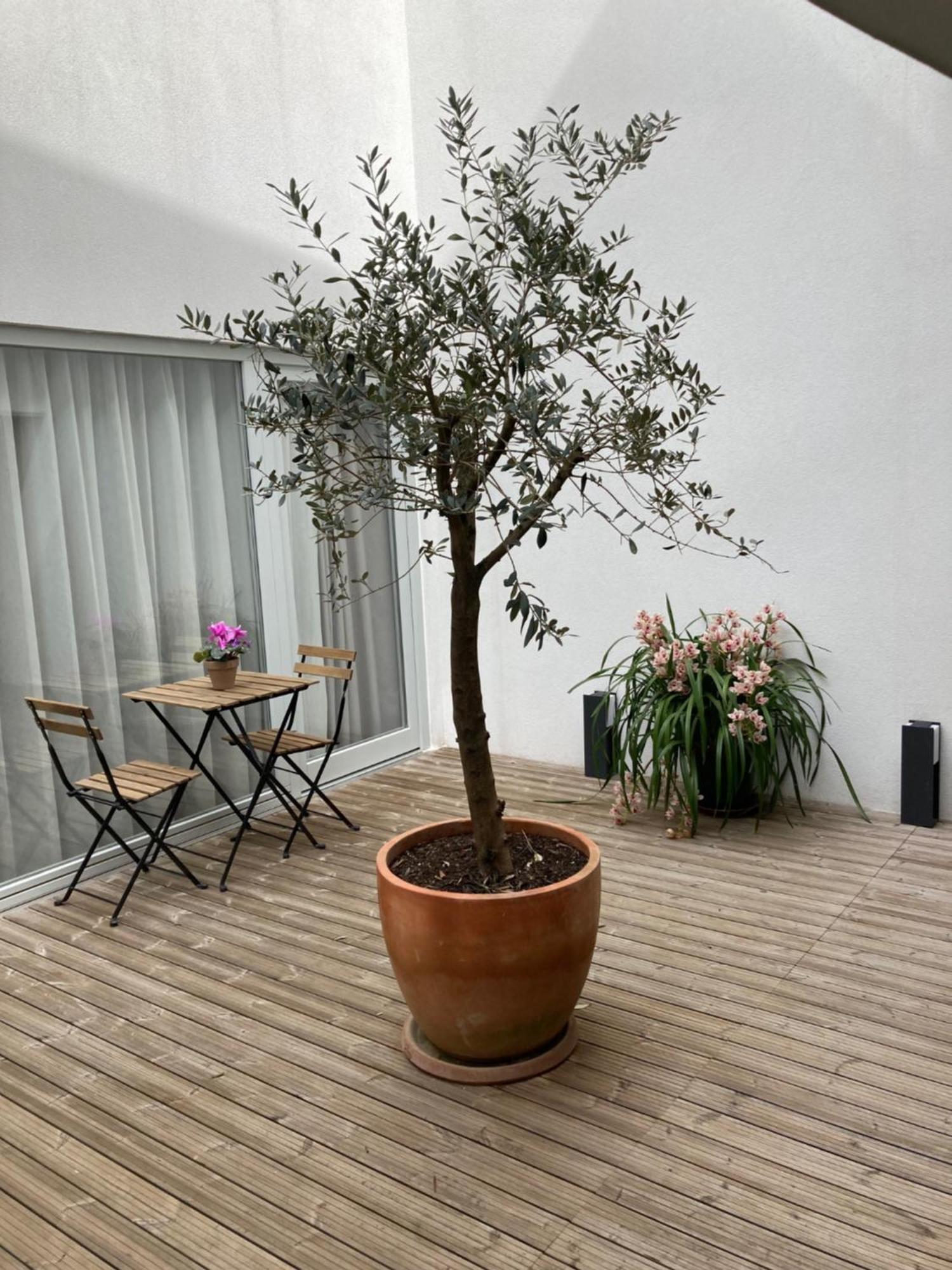 פורטו Ribeira Flores 59 Downtown Apartments מראה חיצוני תמונה
